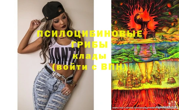 марки lsd Абаза