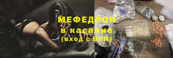 прущие грибы Абинск