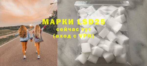 прущие грибы Абинск