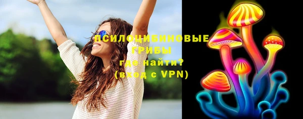 прущие грибы Абинск