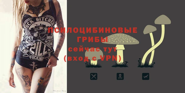 марки lsd Абаза