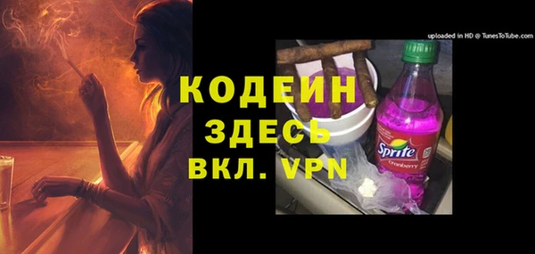прущие грибы Абинск
