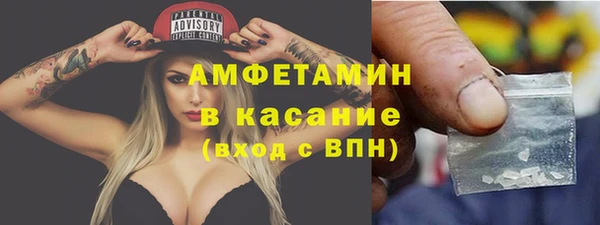 прущие грибы Абинск